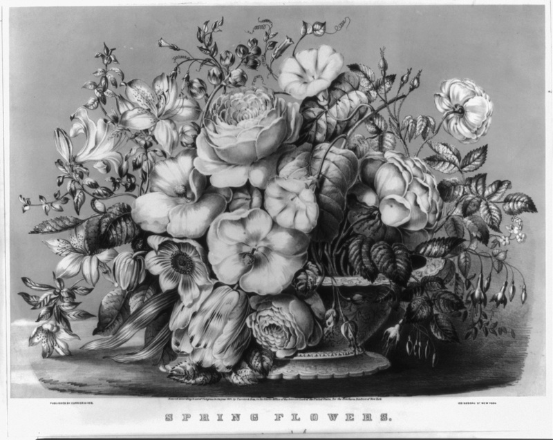 Spring Flowers by Currier and Ives from the Library of Congress