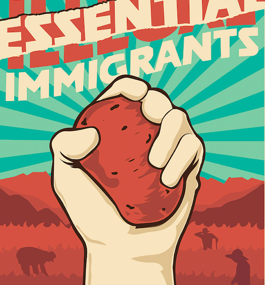 hand holding up potato under "Essential Immigrants" banner above field with bending laborers silhouetted