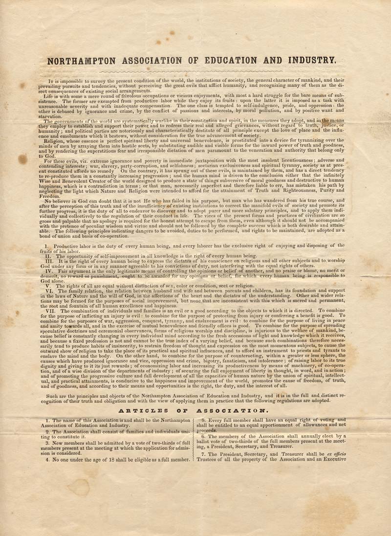 NAEI 1842 Constitution