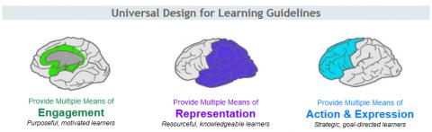 Principles of Universal Design for Learning: Engagement, Representation, and Expression-Action