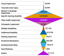 Chart shows percentages of students in each category of disability.